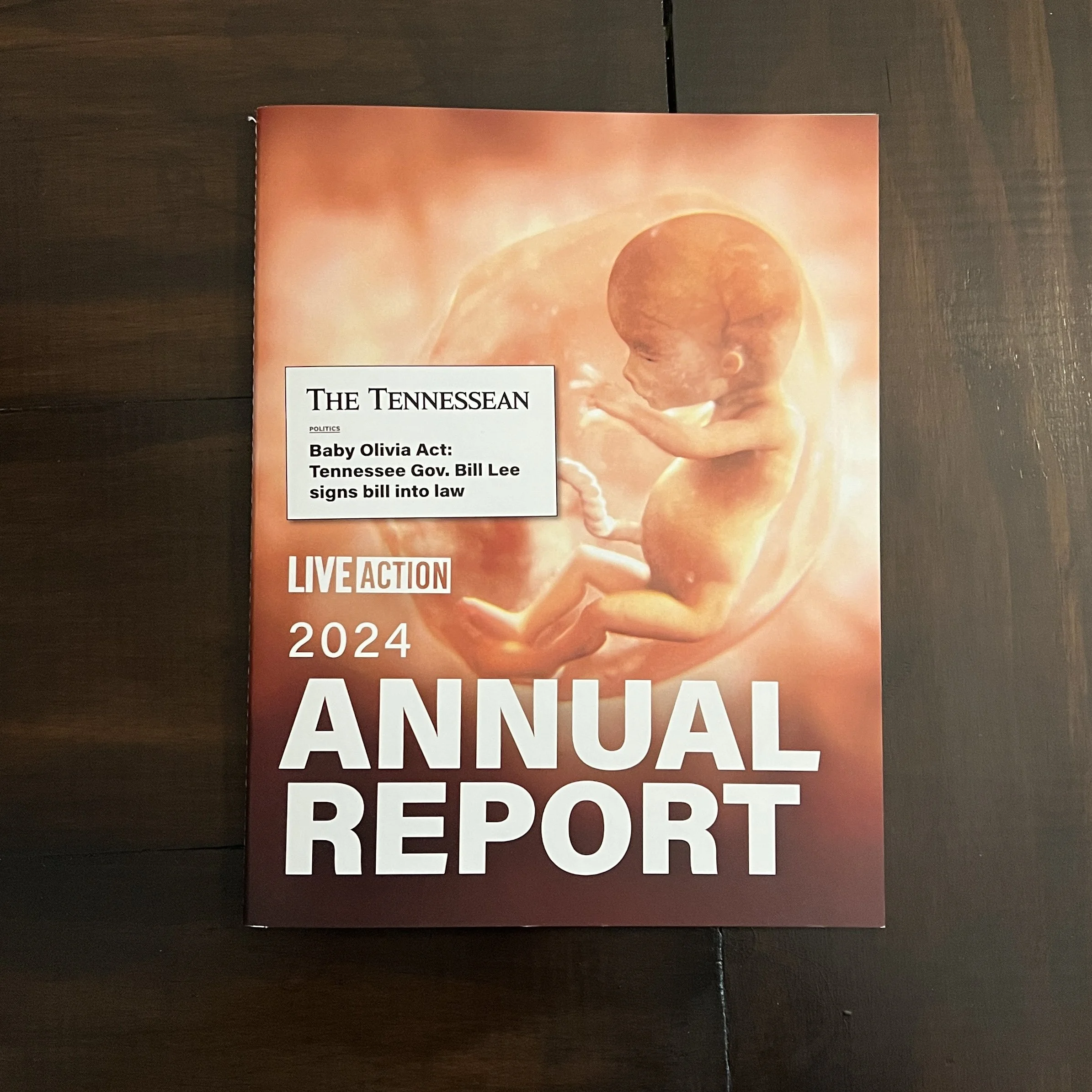 Live Action 2024 Annual Report‹